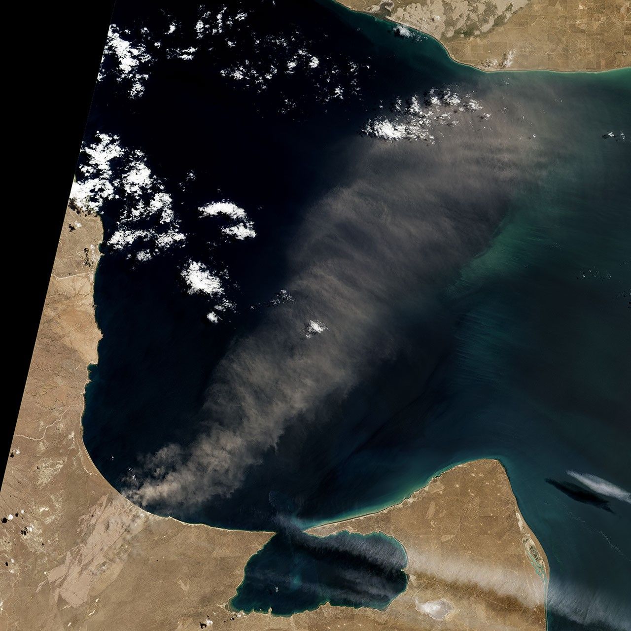 After Patagonian Fires, A Scar Remains