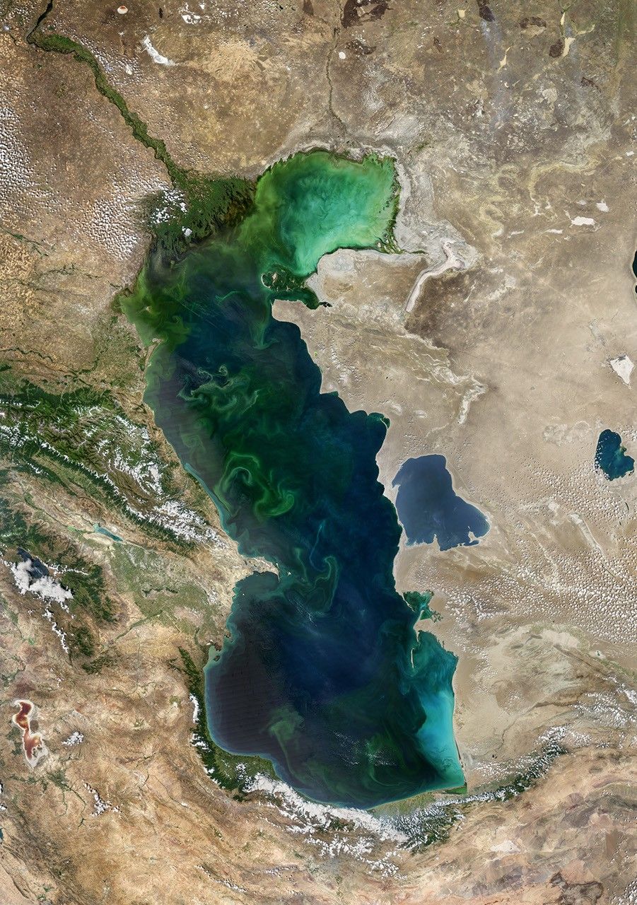Blooms in the Caspian Sea