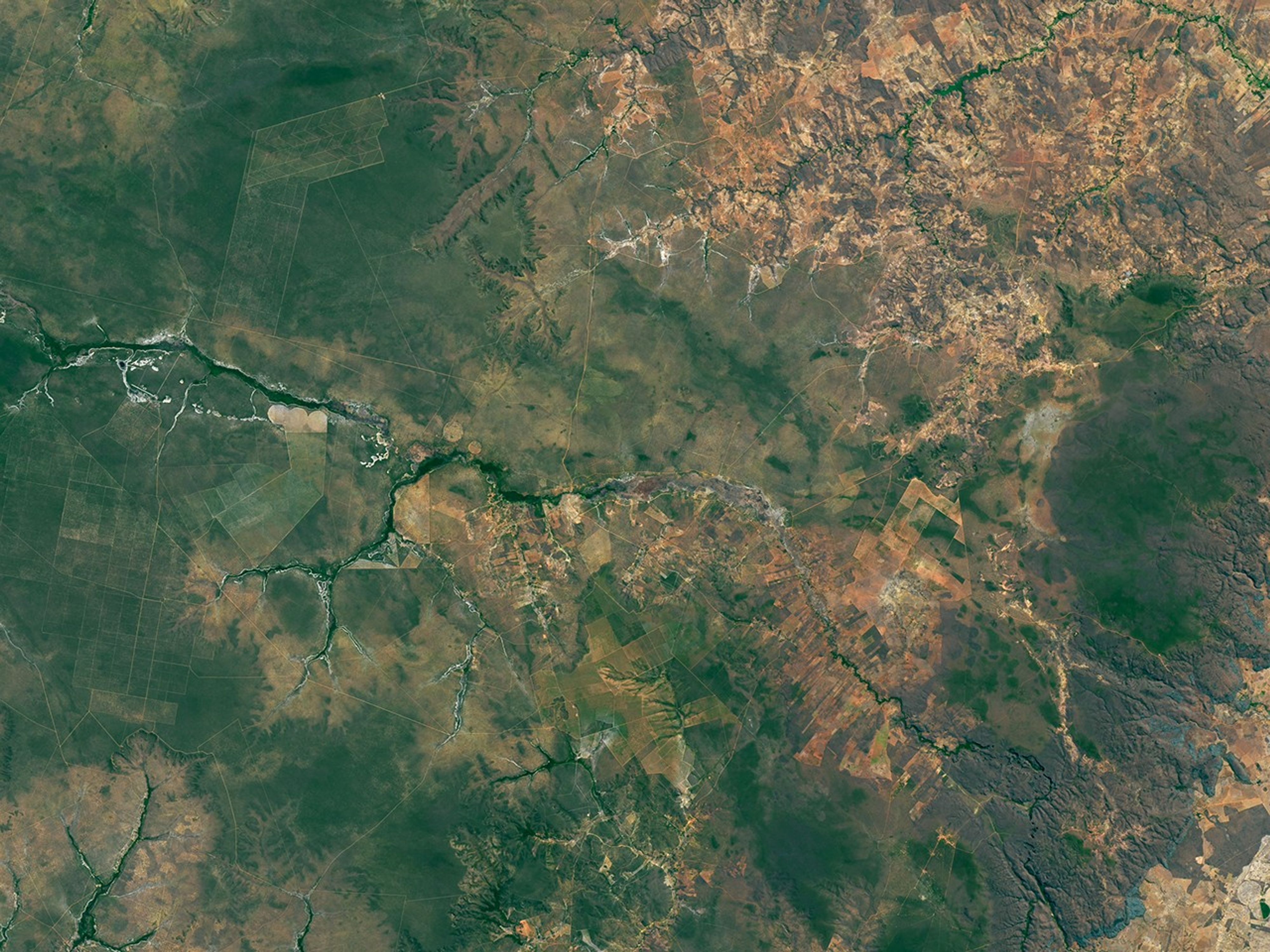 Palm Swamp Fire in Brazil