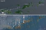 Hurricane Irma Turns Caribbean Islands Brown