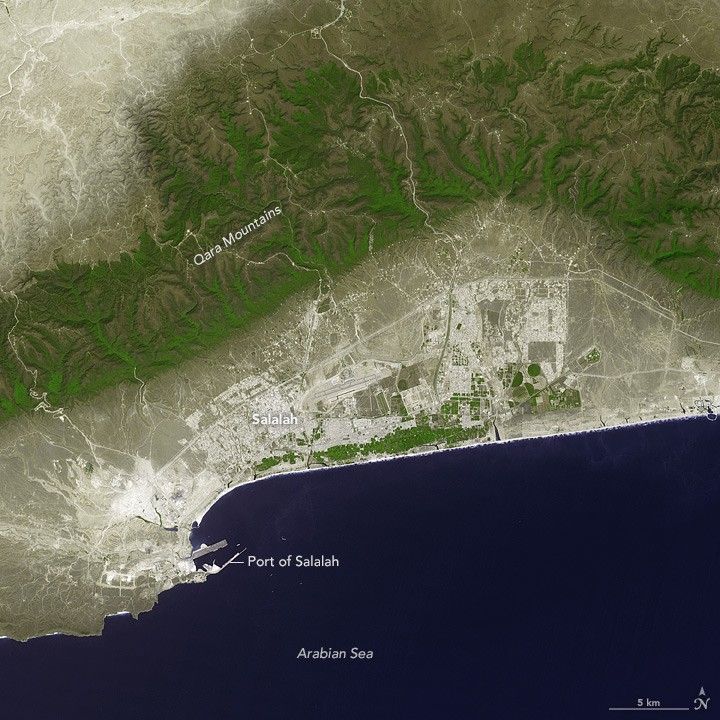 Following the Frankincense Trail