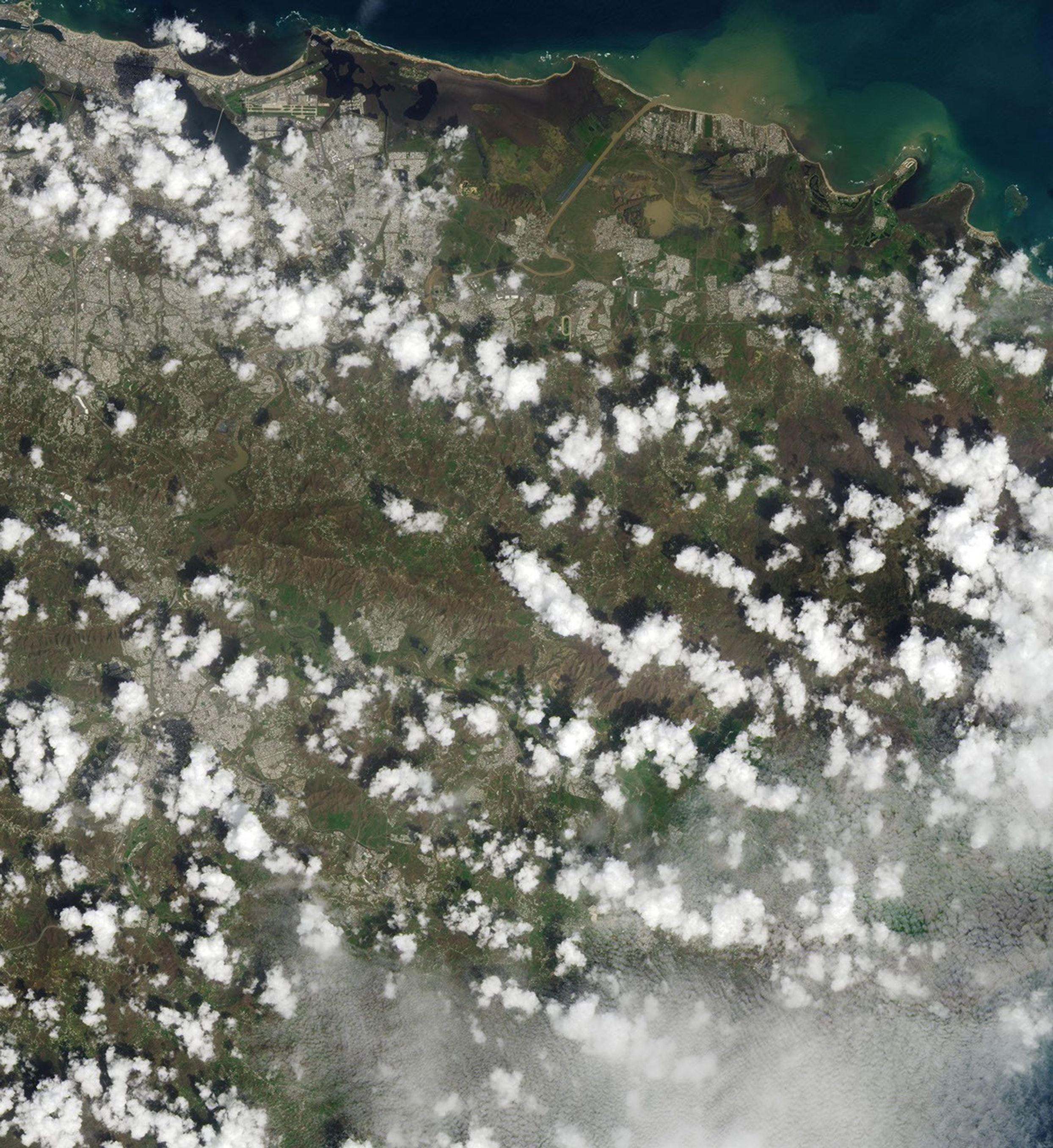 Puerto Rico Landscape Ravaged by Hurricane Maria