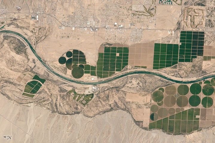 Colorado River Agriculture
