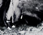 2017-10-20 00:00:00