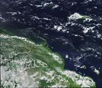 Papua New Guinea Plumes