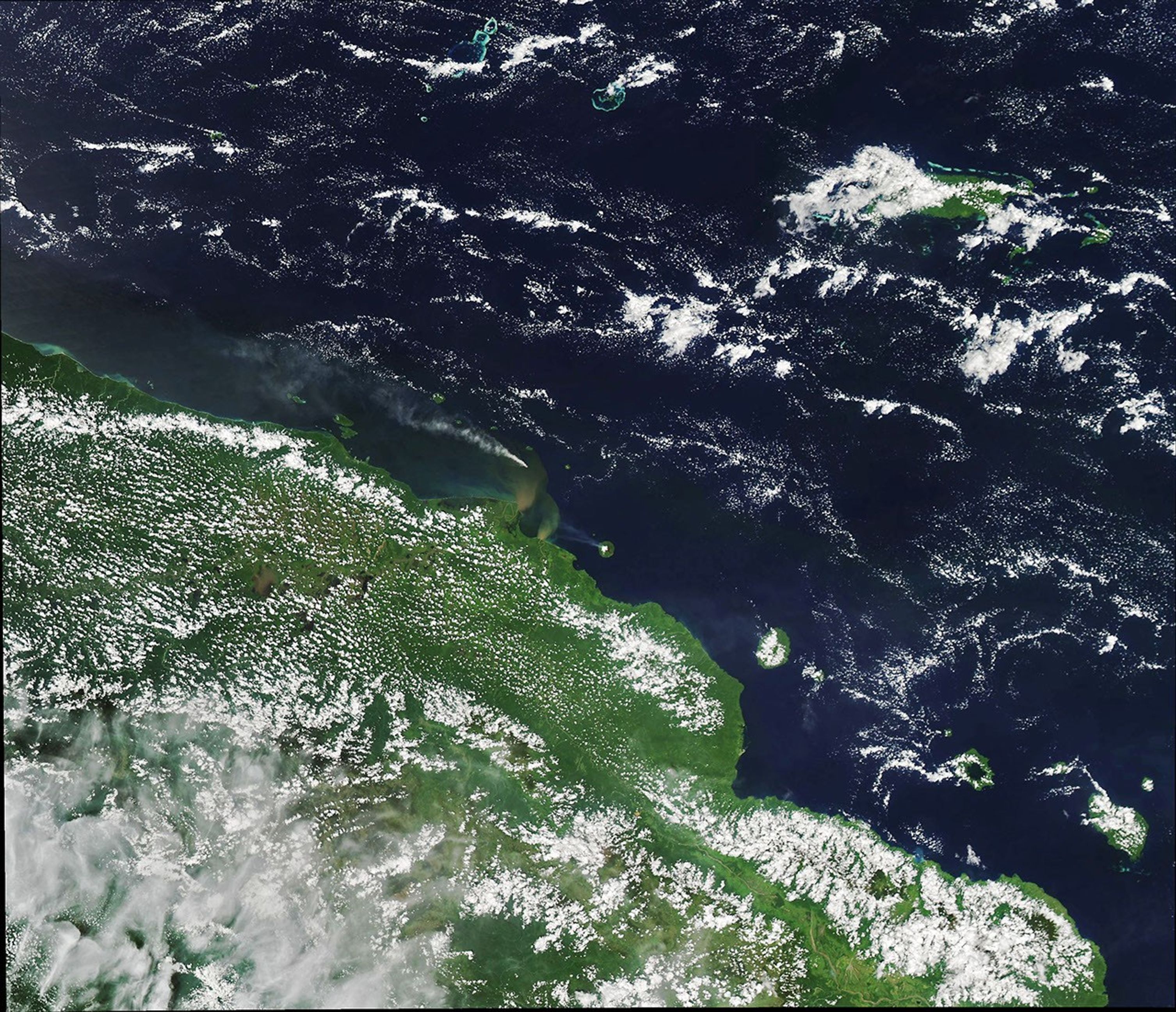 Papua New Guinea Plumes