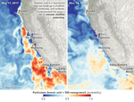 Using Scientific Muscle to Grow Safer Mussels