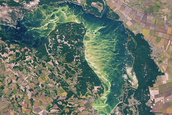 Agriculture Marks the Landscape in Central Ukraine