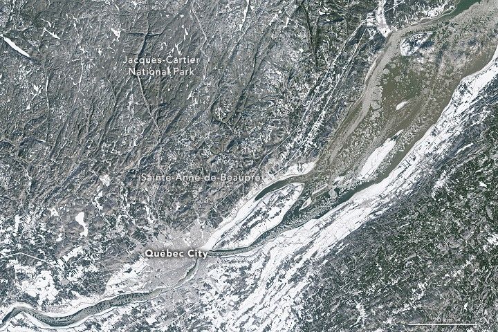 Old Europe Meets the New World