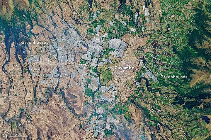 Greenhouses of Cayambe Valley