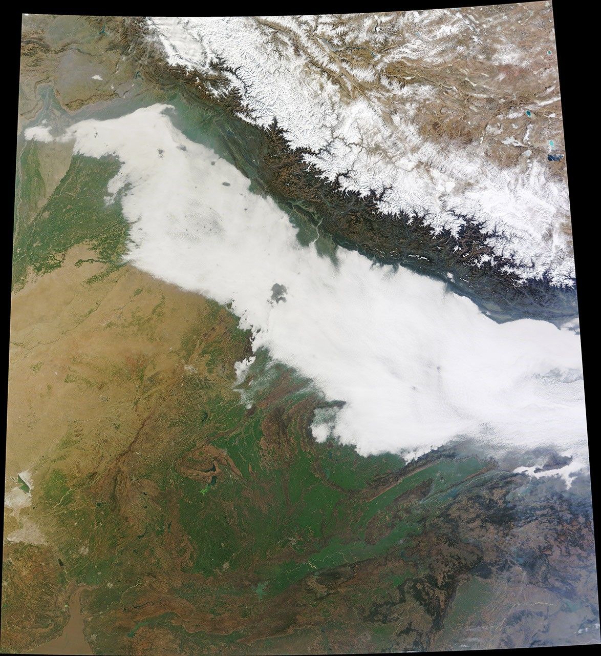 Urban Heat Islands Punch Holes in Fog
