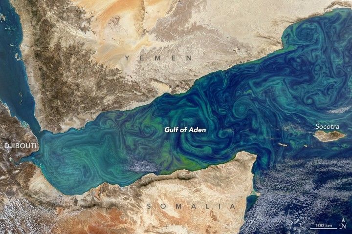 Bloom in the Gulf of Aden