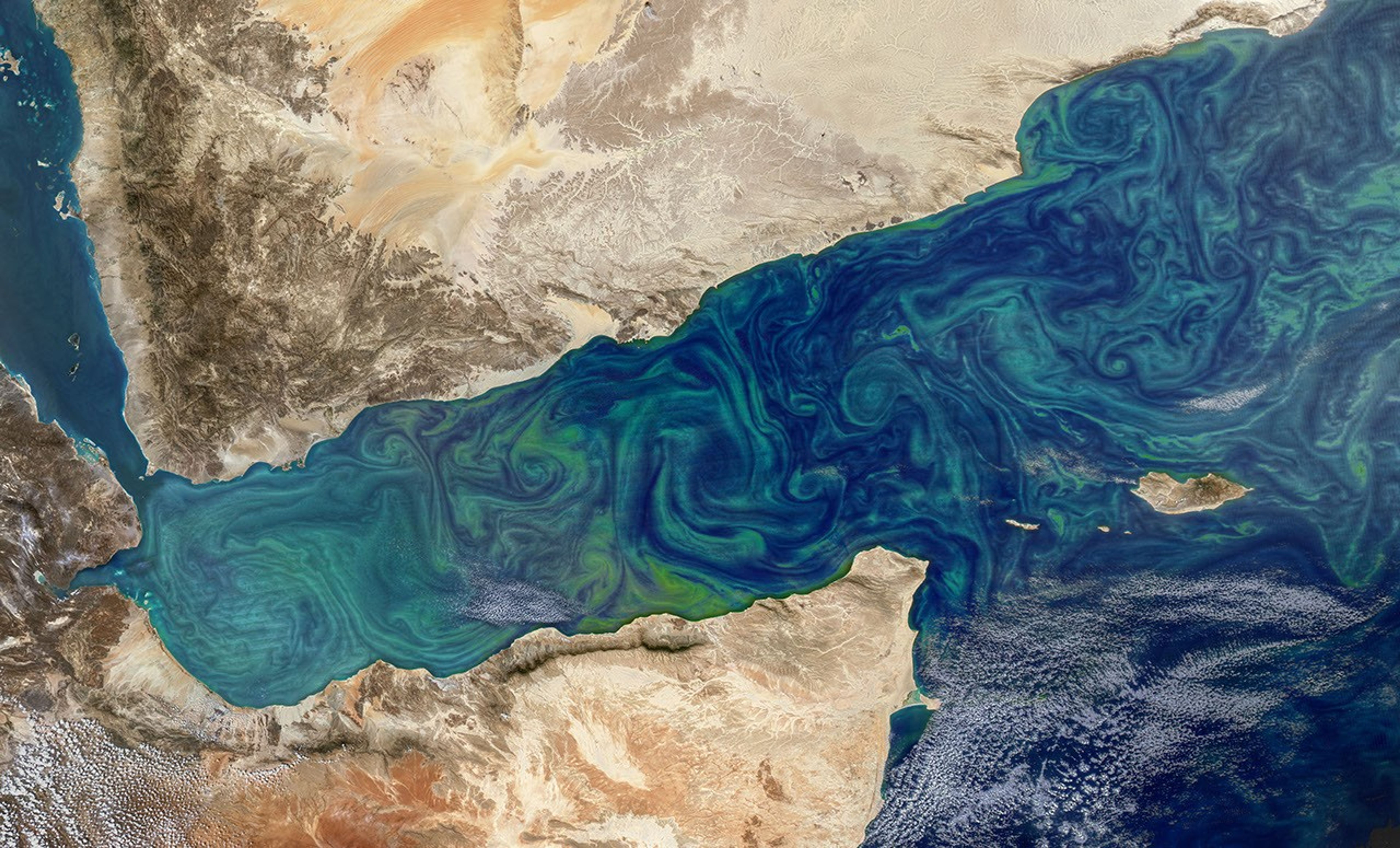 Bloom in the Gulf of Aden