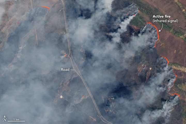 Sweltering, Smoky Fires in Siberia - NASA Science