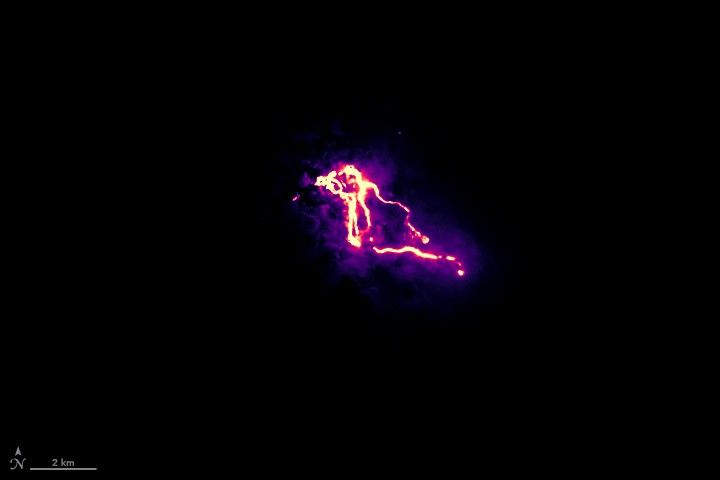 This nighttime false-color image shows lava flowing from a fissure near Leilani Estates and moving south and east against a dark background on May 23, 2018. It is based on Landsat 8 observations of shortwave infrared and green light and depicts fresh lava flows as bright curving white and yellow lines. Purple areas surrounding the flows represent thin clouds lit from below. The mapmaker has also layered in data showing the locations of key roads and the coastline.