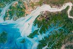 The Meandering Estuaries of Guinea–Bissau