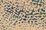 Rain Soaks the Empty Quarter