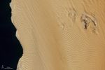 Between the Ripples of the Namib Sand Sea