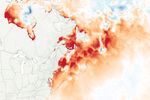 Watery Heatwave Cooks the Gulf of Maine