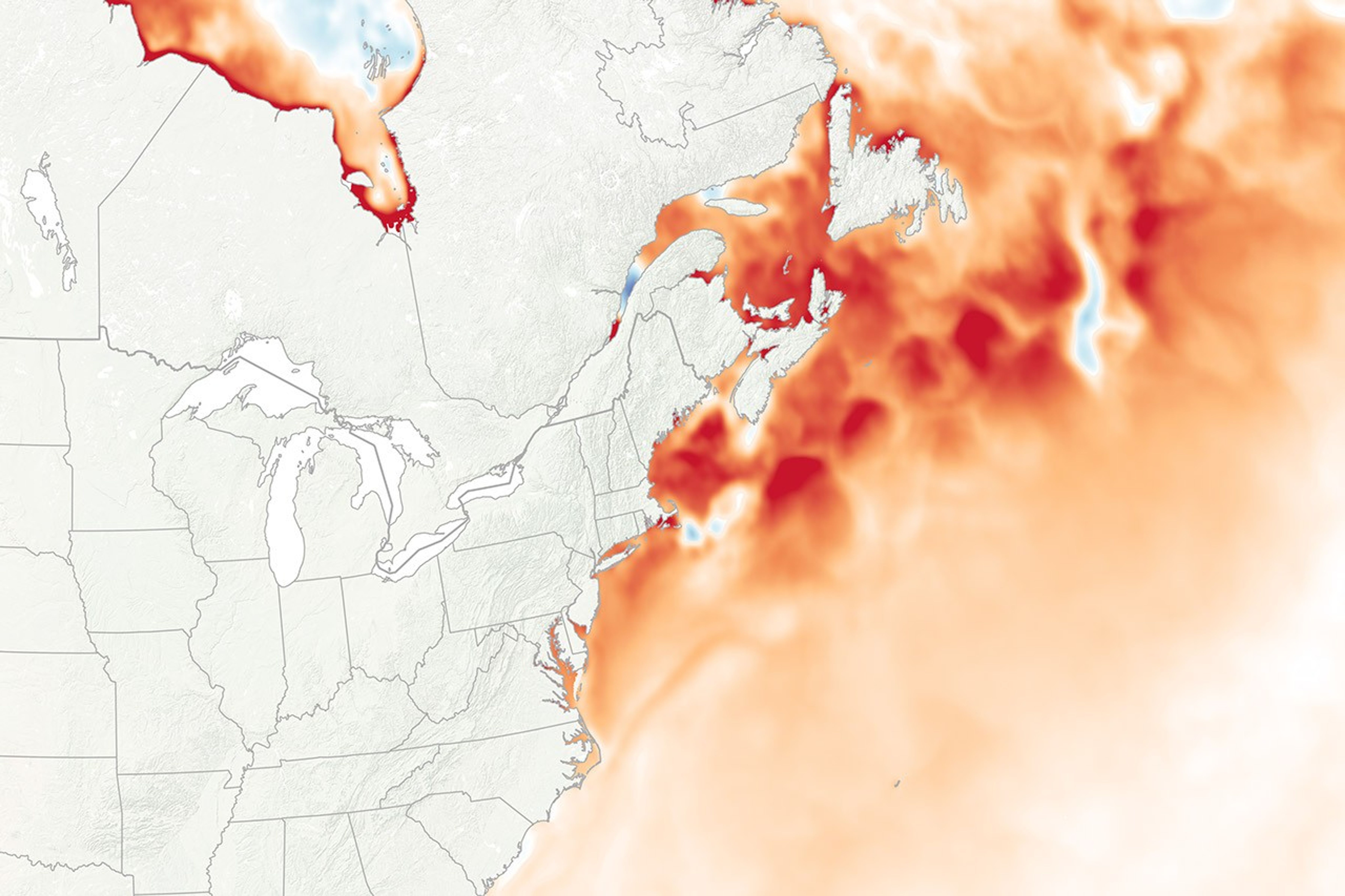 Watery Heatwave Cooks the Gulf of Maine - related image preview