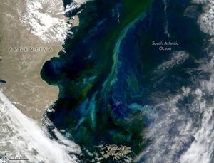 Argentina frames the left edge of the image in which centers the South Atlantic Ocean. The Falkland Islands are just in frame in the center bottom of the image. The ocean itself contains swirling shades of blue and green above the Falkland Islands fed by a stream of the same colors traveling south parallel to the South American Coastline.