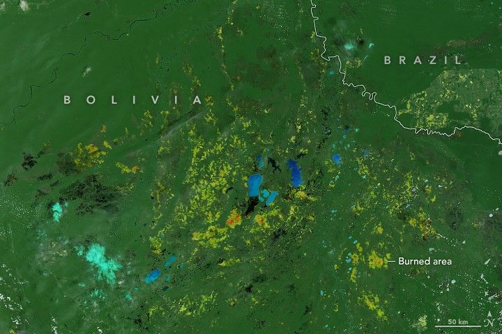 satellite image with a color coded overlay indicating what areas of forest have burned in yellow and orange. While the vast majority is green, denoting forests, with some blue indicating surface water, it is consistently interspersed with yellows and red, particularly biased toward the lower portion of the image.