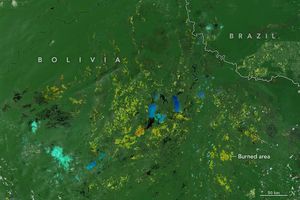 satellite image with a color coded overlay indicating what areas of forest have burned in yellow and orange. While the vast majority is green, denoting forests, with some blue indicating surface water, it is consistently interspersed with yellows and red, particularly biased toward the lower portion of the image.