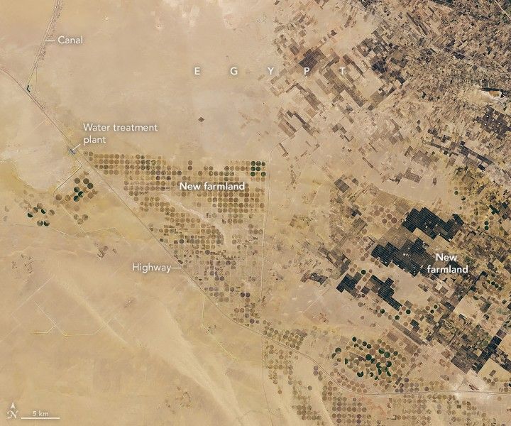 In the sandy landscape of Egypt a canal in the upper left connects to a water treatment plant lower down.  A highway runs mostly diagonal across the image from the upper left to the lower right, and very near to the plant. On either side of the Highway are circles of gridded new farmland with varying shades of darker tans in circular patterns from irrigation. Along the right side of the image there remain circular patterned fields of crops, but also many more dark rectangular fields of new farmland. The entire right edge of the image is covered in farmed land.