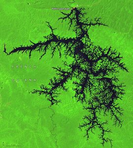 Dark water branch out into bright green landscape