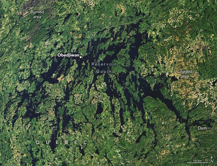 Reservoir Gouin appears as jack ragged and narrow interconnected bodies of water among the surrounding green to yellow landscape. In the top left corner of the image, out of the reservoir area, is a burned area. Immediately to the right of the reservoir is a large patch of mostly yellow land which has been labelled as logged. Below that at the very edge of the image is the reservoir Dam. The town of Obedjiwan sits right on the coast of the reservoir on a peninsula of land just left and above the image center.