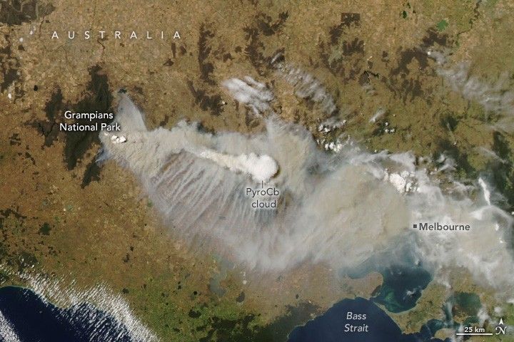 Smoke emanates from Grampians National Park and sweeps across Australia, mostly a light green color with patches of dark green. Halfway between the origin point and an obscured Melbourne is a PyroCb cloud. The Bass strait is seen at the very bottom of the image below Melbourne.