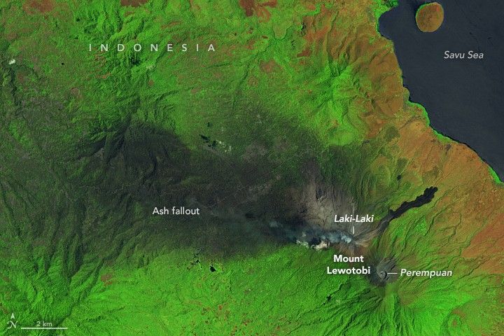 The Image shows Mount Lewotobi, in the lower right part of the image, just South of the Savu Sea. Lewotobi consists of Laki-Laki and Perempuan with dark cover of ash covering much of the green landsape up to the center of Laki-Laki