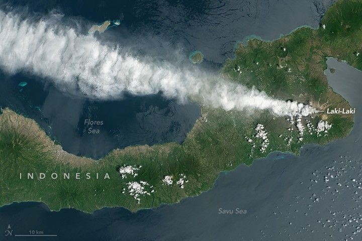 Indonesia spans the image horizontally covered in medium green foliage. The Flores Sea is above the land and the Savu Sea beneath it on this image. On the right edge of the shown land is Laki-Laki, which has a narrow conical stream of white colored smoke that moves to the upper left corner of the image.