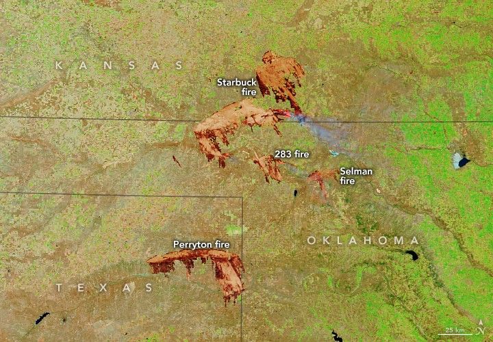The image shows the Kansas, Oklahoma, and Texas region with state border overlays. At the top of the image the Starbuck fire crosses from Kansas into Oklahoma. Just South of this fire is the 238 fire, to the east of which is the Selman fire. The Perryton fire is shown in the bottom left, almost entirely within the Texas border.