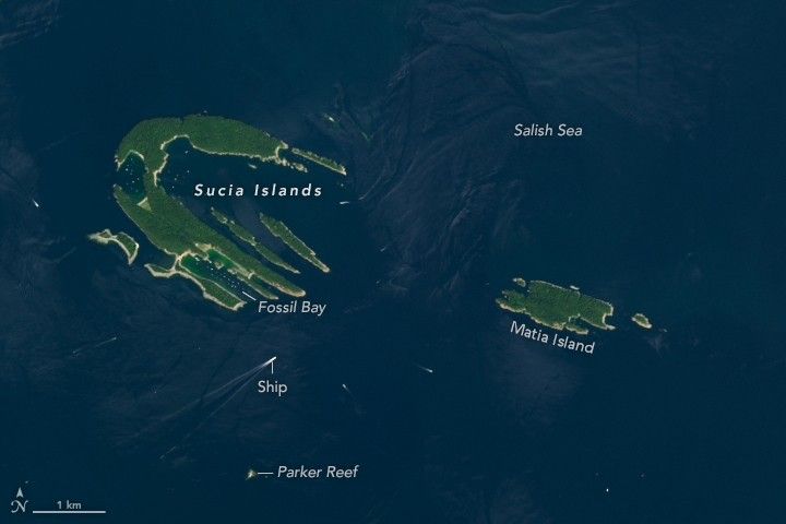 The green covered Sucia Islands (left) and Matia Island (right) shown in the rich blue Salish Sea. Near the bottom of the image below Sucia is Parker Reef, a small white spec.  Numerous boats are anchored in Fossil bay, one of the inlets at the bottom of Sucia Islands, and numerous other boats are active in the waters around. A ship is headed upward between these islands and can be seen leaving outbound waves and wake behind.
