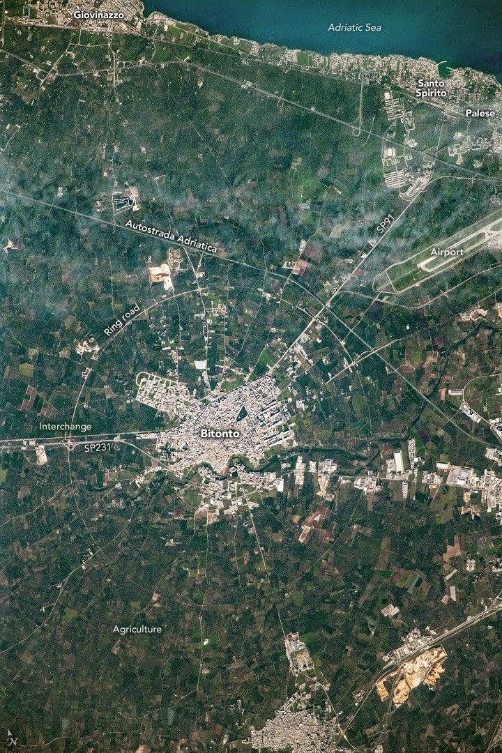 Bitonto is a built up human settlement in the center of the image. Three major roads radiate out from the city, one headed down, one left and one up diagonally toward the coast of the Adriatic Sea and airport shown in the upper right. A circular ring road surrounds the city, Giovinazzo is another settlement along the coast in the upper left. On the upper right is Santo Spirito and Palese.