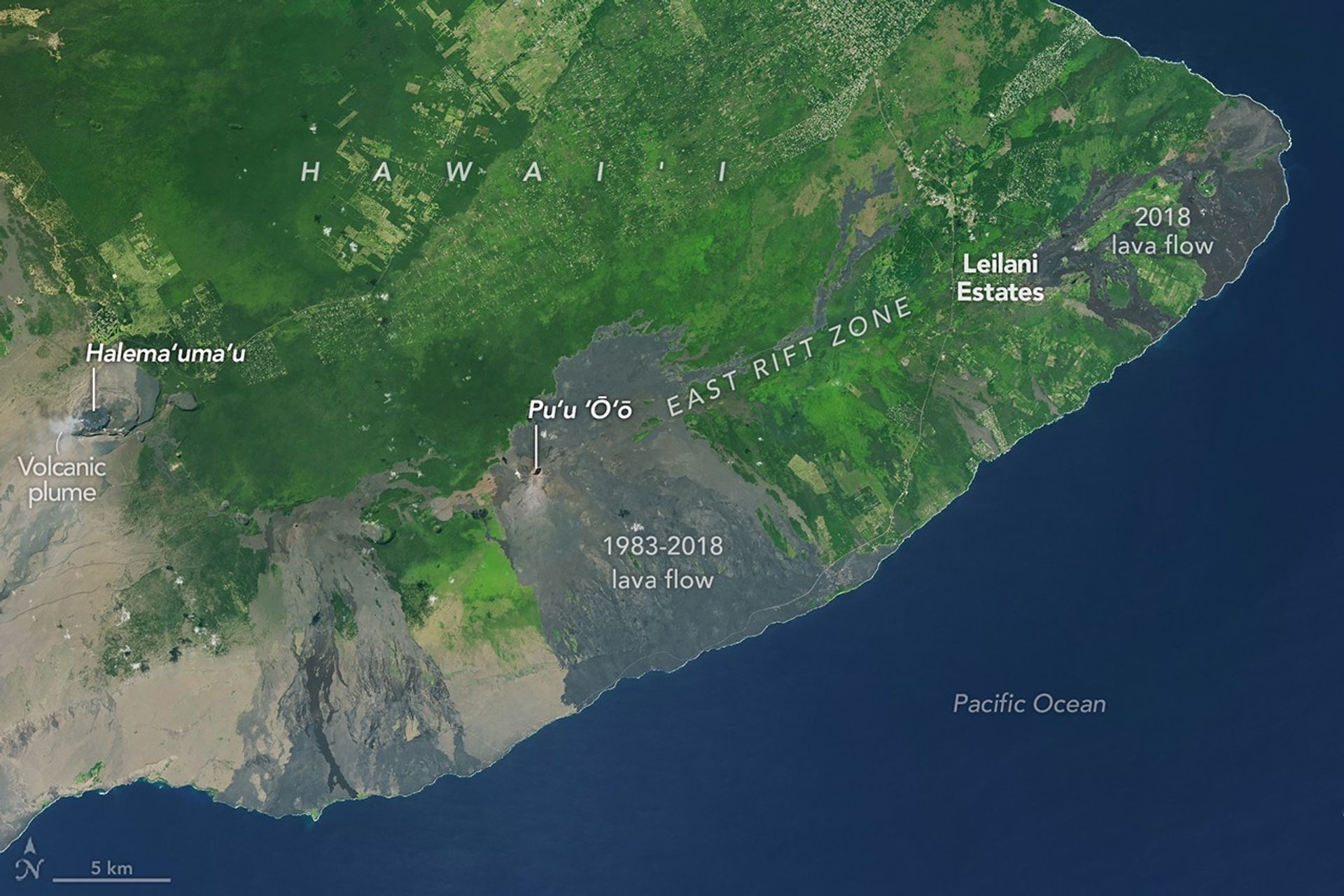 A satellite image shows the landscape around Kīlauea. The Halema‘uma‘u crater has a small volcanic plume drifting from it and is labeled on the left side. A gray area labeled as a "1983-2018 lava flow" appears in the center. A smaller lava flow labeled as the "2018 lava flow" is visible on the right. Green forested areas surround the lava flows. In the lower part of the image, the lava flows spread south or east on their way to the blue expanse of the Pacific Ocean.