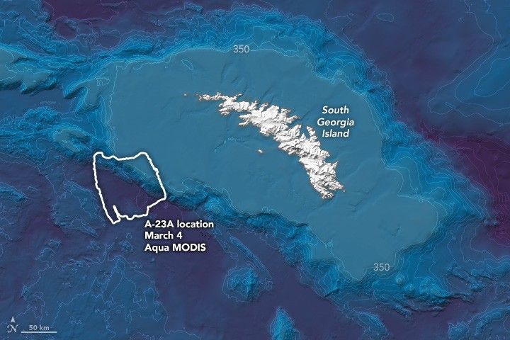Topographic depiction of the ocean floor around South Georgia Island with outline of A-23A location located below and left of the island on the edge of a 350 topographic line.
