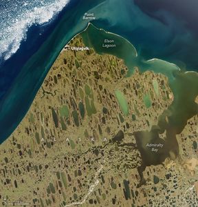 Alaska beige land is spotted with countless stretched lakes, top to bottom toward the coastline at the top of the image. Point Barrow is the northernmost point of land and borders Elson Lagoon. Utqiagvik is the lone human settlement in frame. Along the right edge of the image is Admiralty bay, filled with brown water and slightly separated from the blue ocean by barrier islands. Some white specs of ice are seen scattered in the upper left of the image.