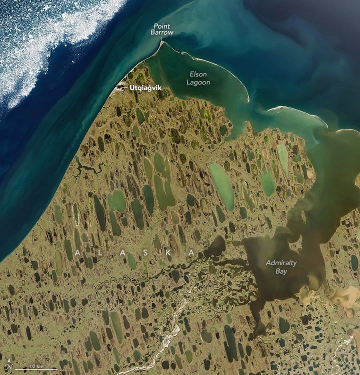 Alaska beige land is spotted with countless stretched lakes, top to bottom toward the coastline at the top of the image. Point Barrow is the northernmost point of land and borders Elson Lagoon. Utqiagvik is the lone human settlement in frame. Along the right edge of the image is Admiralty bay, filled with brown water and slightly separated from the blue ocean by barrier islands. Some white specs of ice are seen scattered in the upper left of the image.