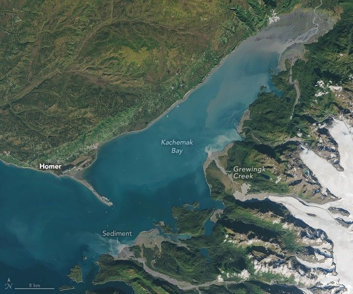 Glaciers appear in the bottom right and flow toward Kachemak Bay which occupies the center of the image diagonally with the mouth being at the bottom left. One of the glaciers terminates into Grewingk Creek before entering the bay. Another stream empties sediment into the bay at the bottom of the image, exactly opposite from the town of Homer across the bay. The land on that side of the bay and between glaciers is all green with foliage. The waters of the bay are a mix of blue shades, but all relatively light in color.