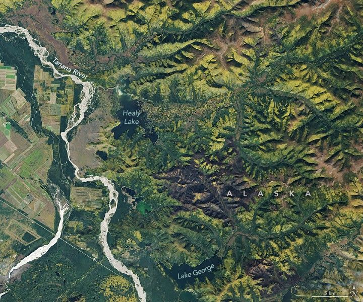 The Tanana River meanders along the left side of the image, farmland left of the river and mountains to the right. Lake George and Healy Lakeare filled with dark blue water at the feet of the mountains, divided from the river by little distance. The mountain peaks appear more yellow before they give way to the green valleys between them.