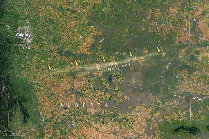 The upper left corner shows the human settlement of Calgary as a distinctly gray amorphous dot on the landscape. Along the left border of the image appears to be deep green foliage covered slightly mountainous landscape. The vast majority of the image is covered in speckled and gridded farmed fields with a distinct path of discoloration stretching horizontally across the bulk of the image labeled hail scar.