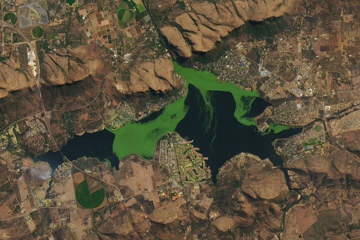 A satellite image of a mostly brown landscape features a dark-blue reservoir partially covered by bright green algae in the north and center.