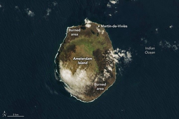 Amsterdam Island is centered, surrounded by the deep blue Indian Ocean. There is some cloud coverage on the lower portion of the island, opposite Martin-de-Viviès research facility at the upper right part of the island. The mottled green foliage of the island is interrupted, particularly closer to the coastline, by dark brown burned areas.