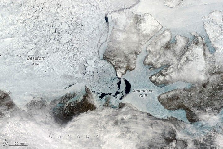 The ice covered landscape includes sea ice and a small sliver of near black appearing crescents of ocean at the edge of the amundsen gulf, center in the image. To the left of that is the Beaufort Sea, covered in densely packed, but broken ice. Cloud, snow or a combination of the two cover the Canadian land at the bottom of the image, with it wrapping up around the Amundsen gulf on the right