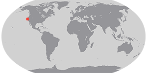 An Unrelenting Tule Fog