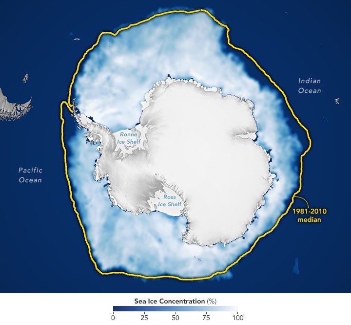 A map of the Antarctic shows the white landmass surrounded by white sea ice. In most areas, the ice edge lies within a thin yellow line marking the 1981 to 2010 average extent for the same date.