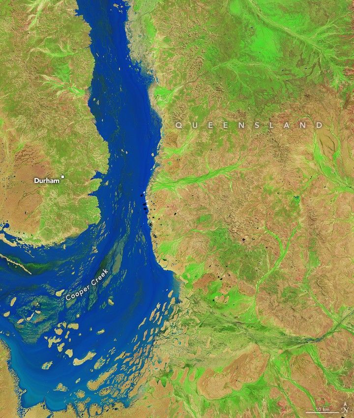 Vibrant green fills the low lands, brighter green veins highlighting the lowest points where water pooled and enabled more vegitation growth, on either side of Cooper Creekwhich runs vertically to the left of center. Durham is labeled on the land left of Cooper Creek surrounded by a moderate green shade.