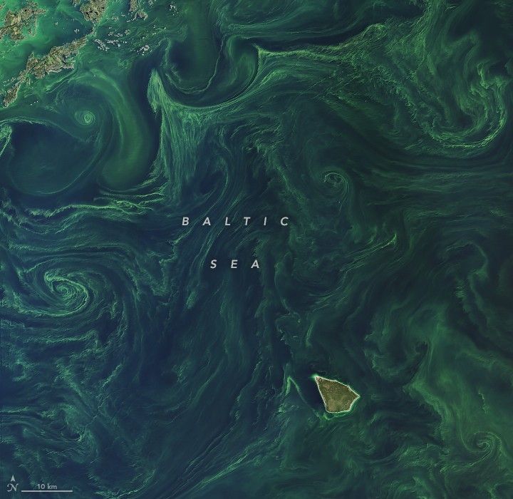 Swirling shades of green are seen in what is labeled Baltic Sea. A small island appears in the lower right and some thin string of islands are seen in the upper left corner.